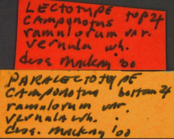 Media type: image; Entomology 21480   Aspect: labels